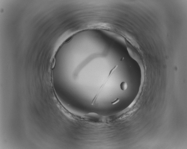 X0000072940816200607211100