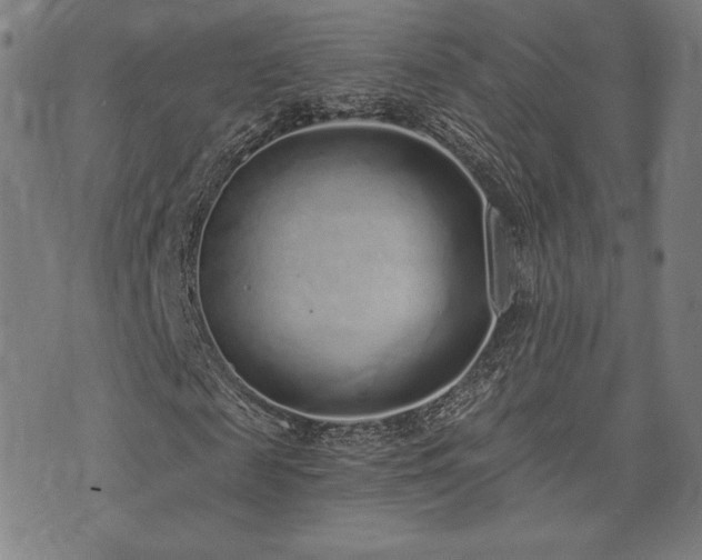 X0000072940817200607211059