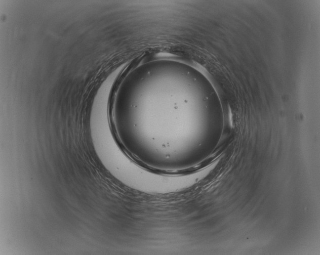 X0000072940818200607211059