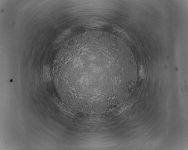 X0000072940819200607211059