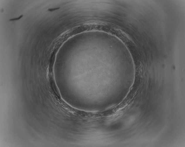 X0000072940821200607211059