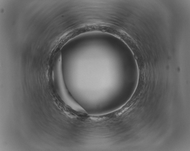 X0000072940822200607211059