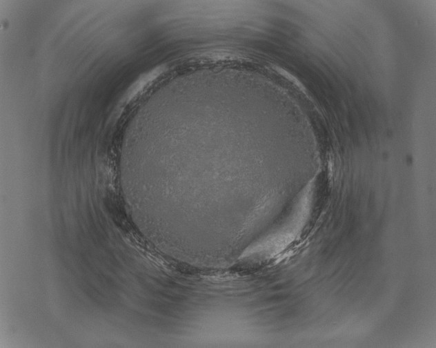 X0000072940823200607211059