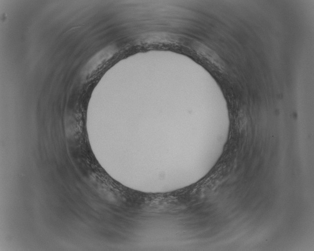 X0000072940824200607211059