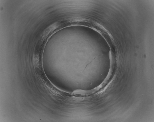 X0000072940825200607211059