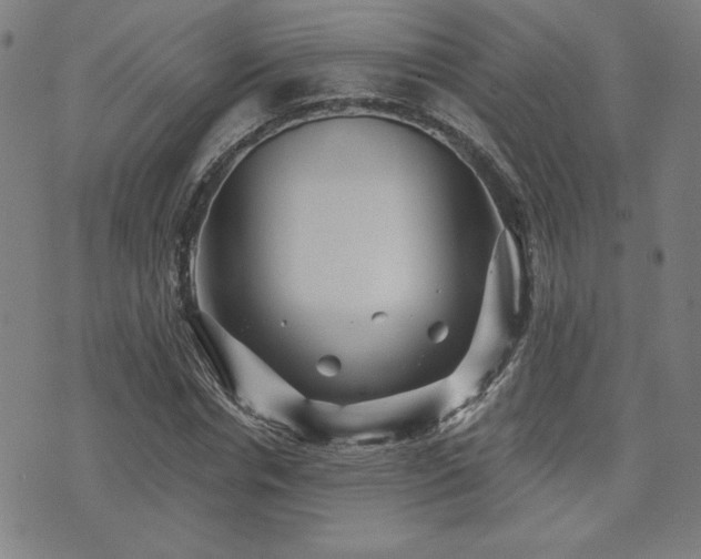 X0000072940826200607211059