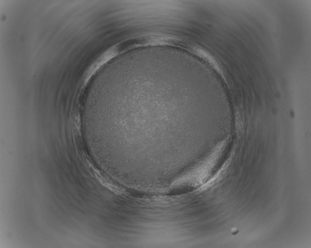 X0000072940827200607211059