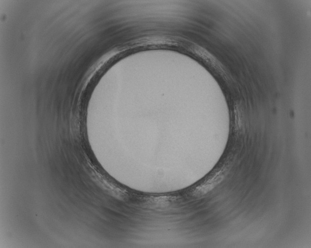 X0000072940828200607211059