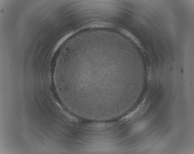 X0000072940829200607211059