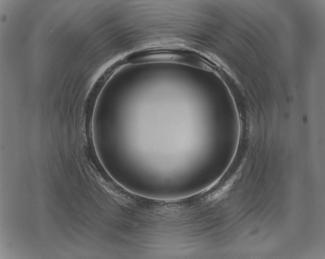 X0000072940830200607211059