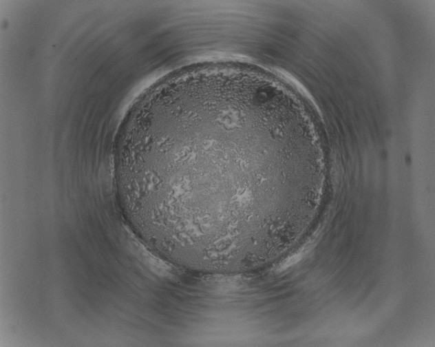 X0000072940831200607211059