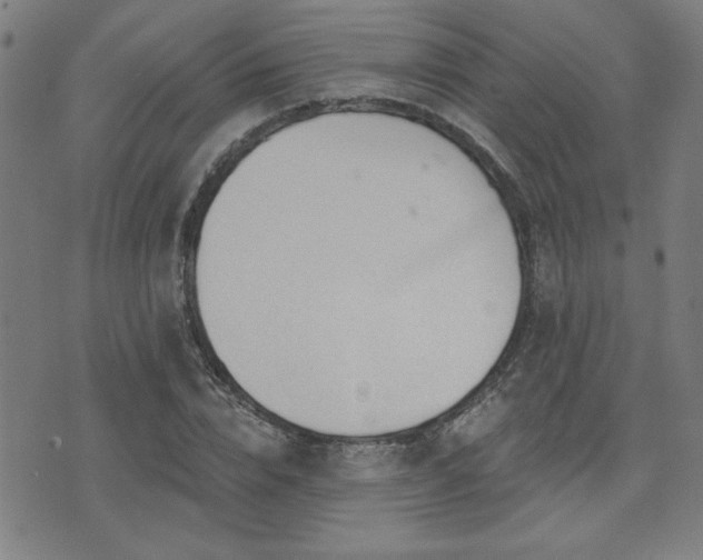 X0000072940832200607211059