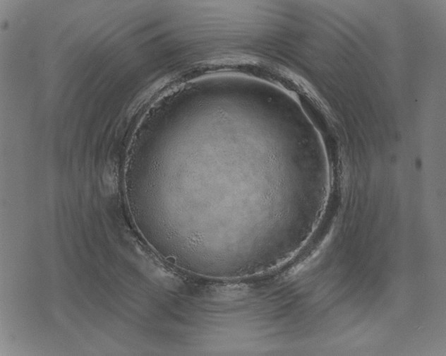 X0000072940833200607211059