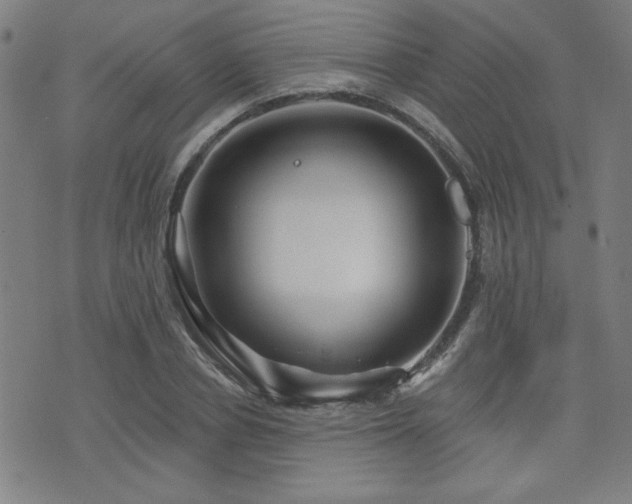 X0000072940834200607211059