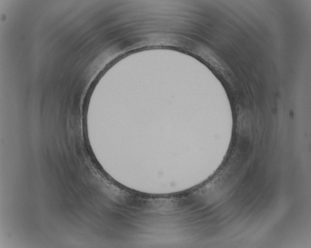 X0000072940836200607211059