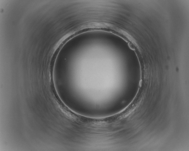 X0000072940837200607211059