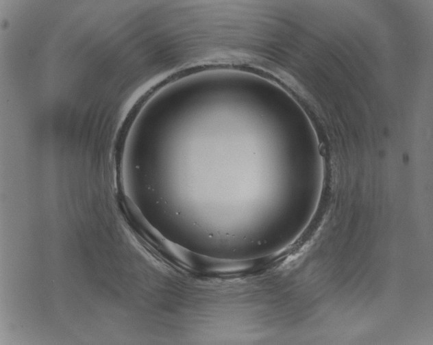 X0000072940838200607211059