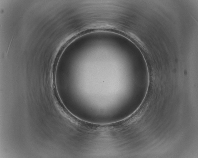 X0000072940840200607211059