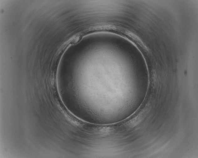 X0000072940841200607211059