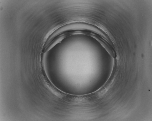 X0000072940842200607211100