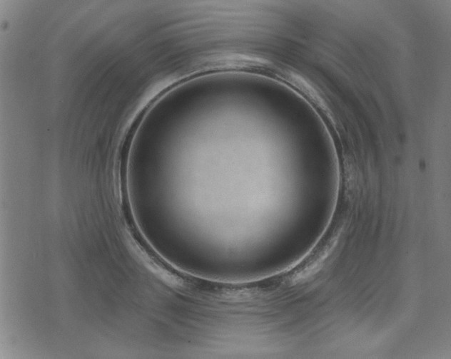 X0000072940843200607211100