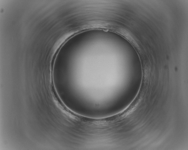 X0000072940844200607211100