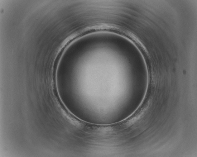 X0000072940845200607211100