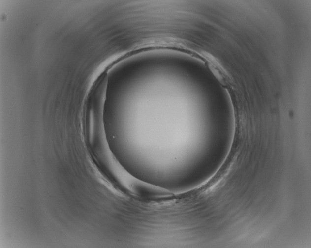 X0000072940846200607211100