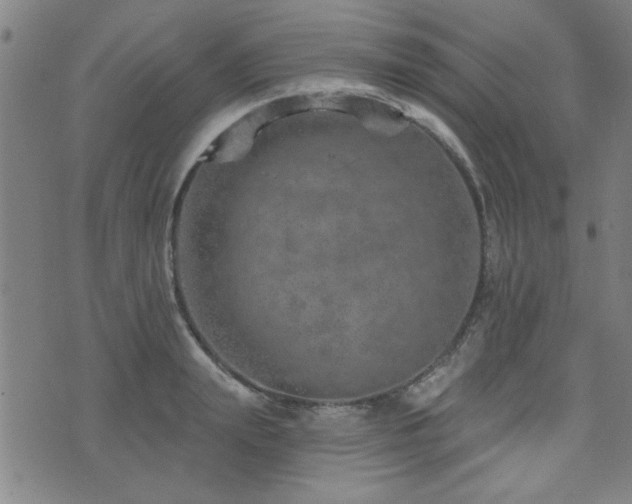 X0000072940847200607211100