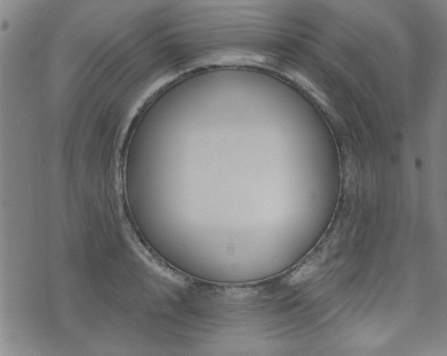 X0000072940848200607211100