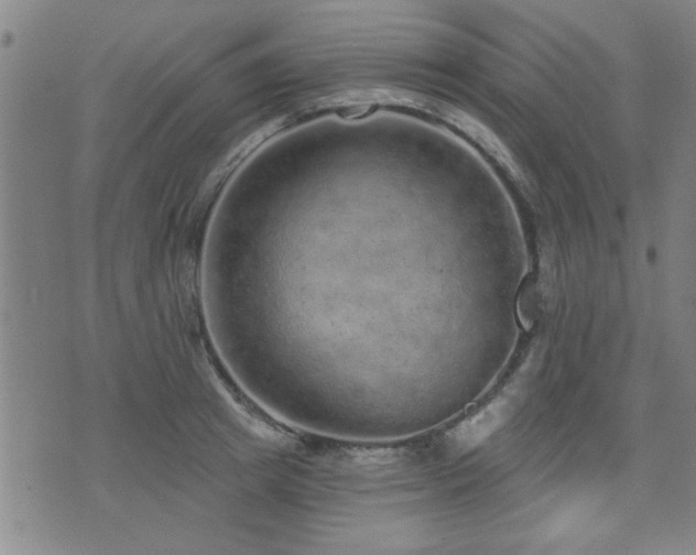 X0000072940849200607211100