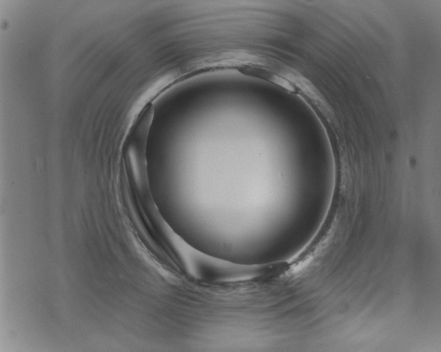 X0000072940850200607211100