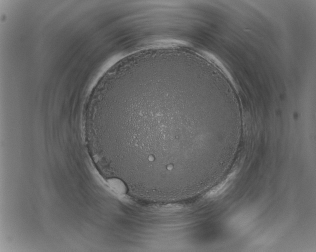 X0000072940851200607211100