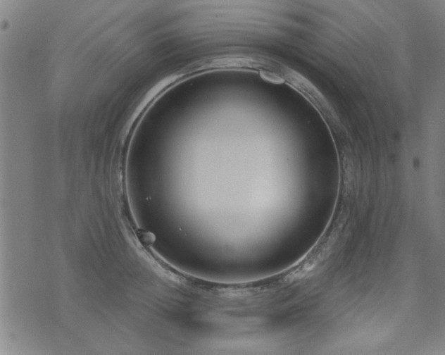 X0000072940852200607211100