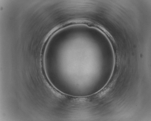 X0000072940853200607211100