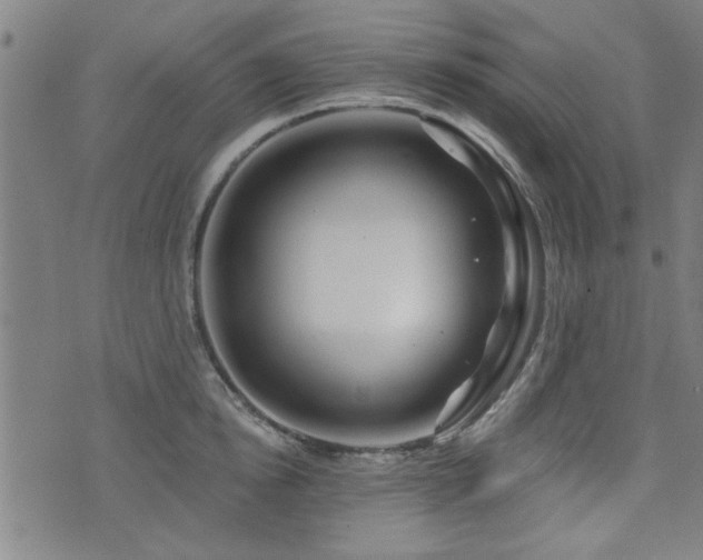 X0000072940854200607211100