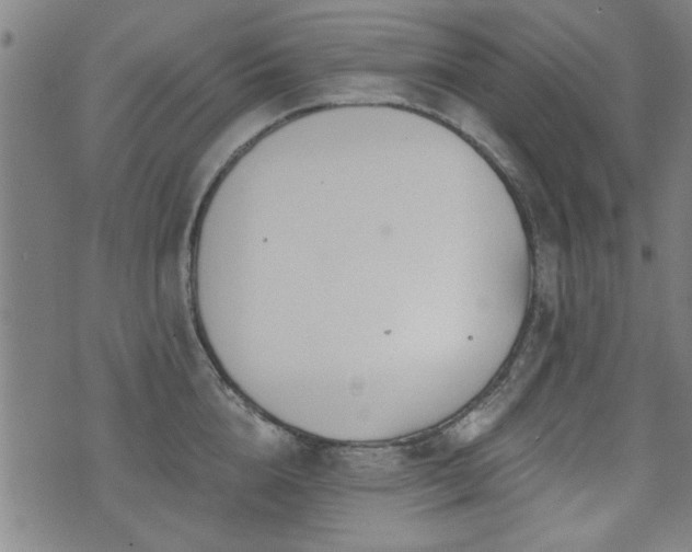 X0000072940856200607211100