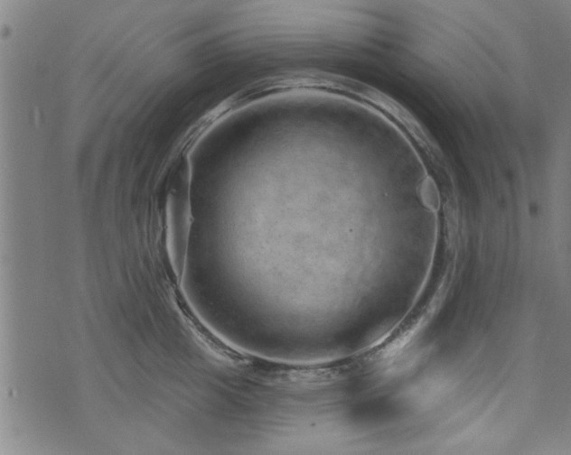 X0000072940857200607211100