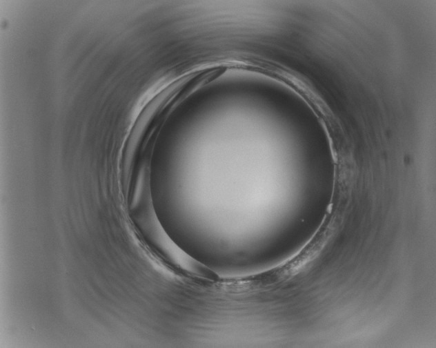 X0000072940858200607211100