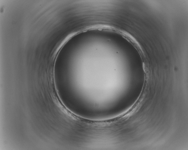 X0000072940860200607211100