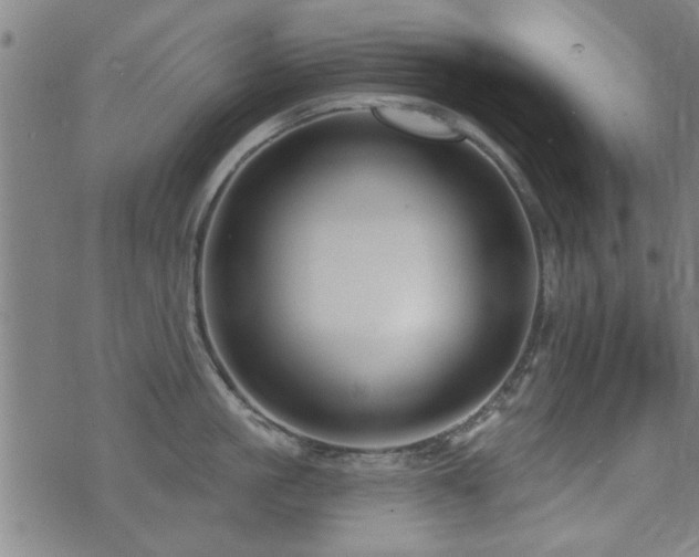 X0000072940861200607211100