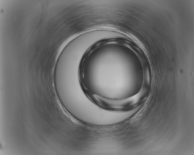 X0000072940862200607211100