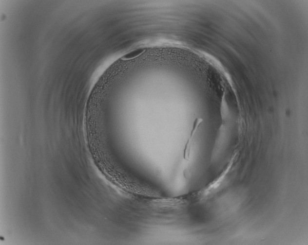 X0000072940863200607211100