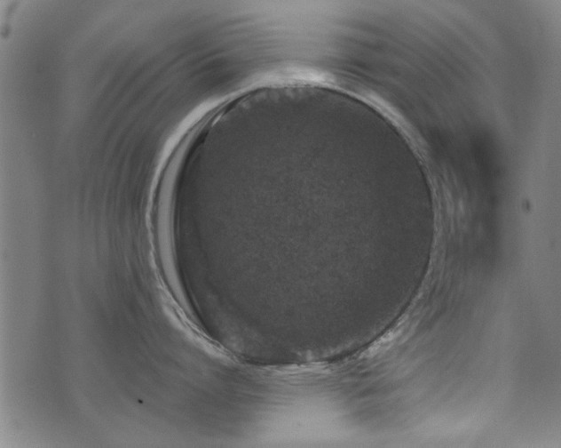 X0000072940864200607211100