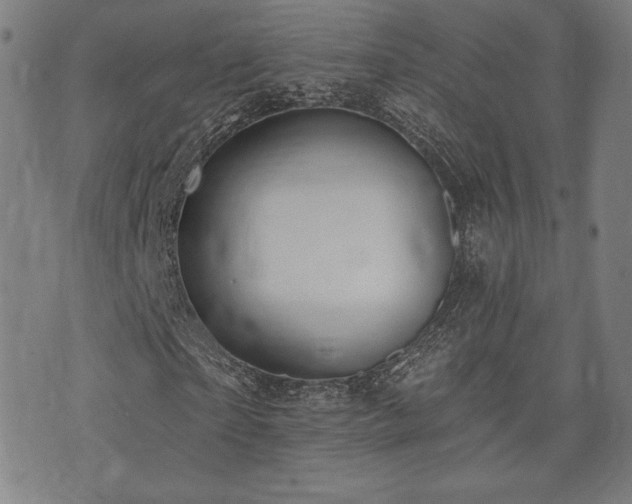 X0000072940865200607211059