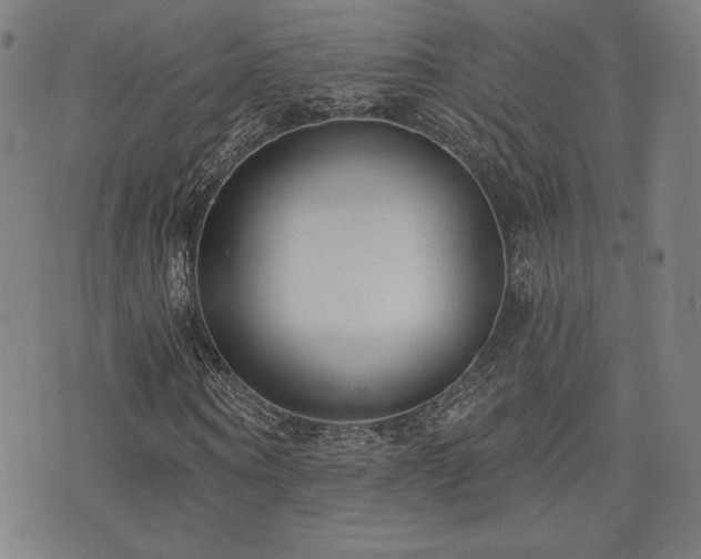 X0000072940866200607211059