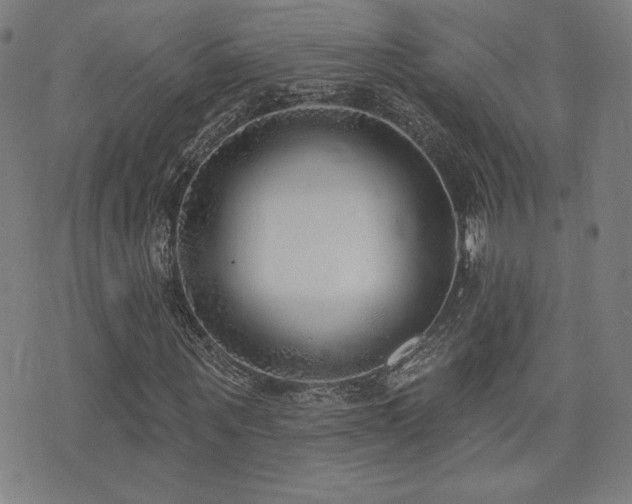 X0000072940867200607211059