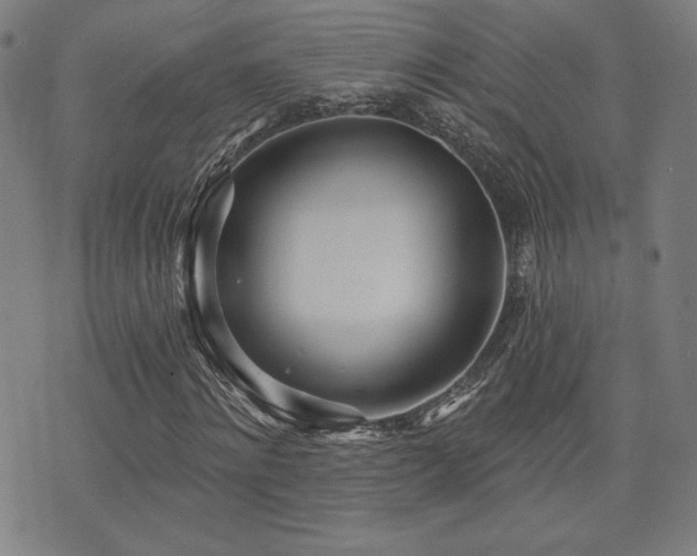 X0000072940868200607211059