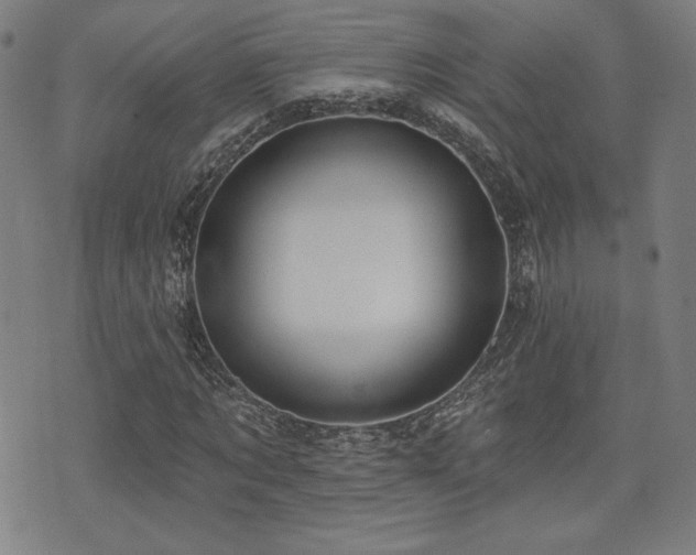 X0000072940869200607211059