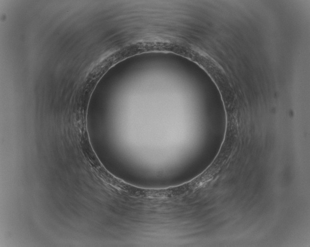 X0000072940870200607211059